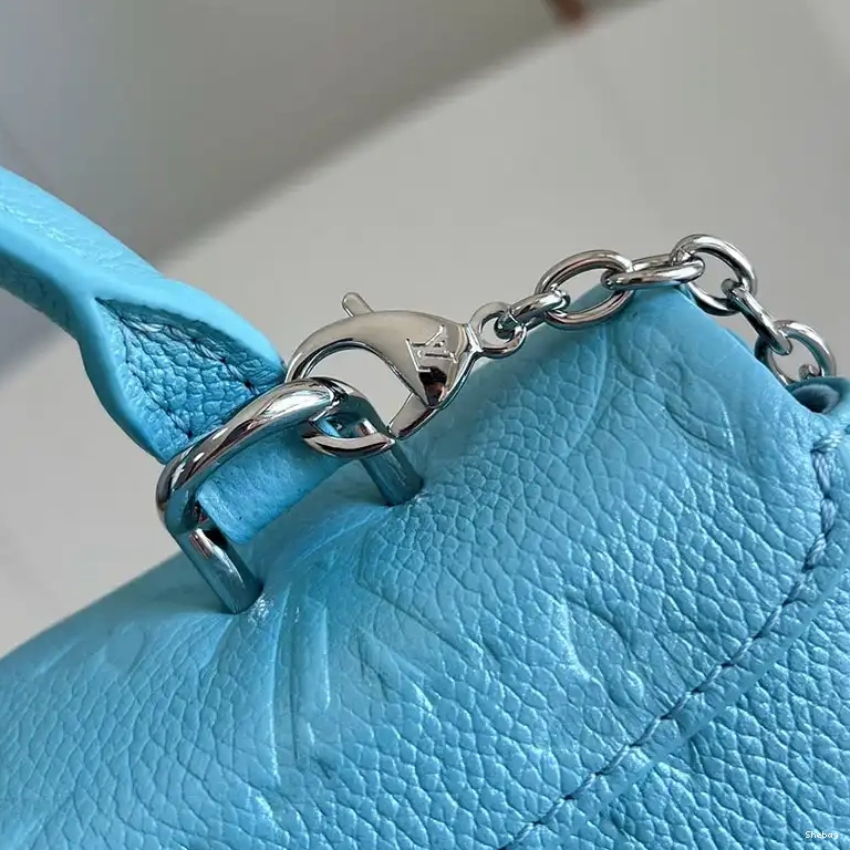 Bags 2411YA0294 LV 0814